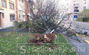 Haos u Sarajevu: Vjetar nosio sve pred sobom, čupao stabla